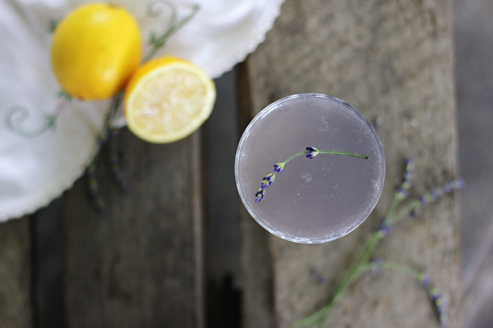 Silver bay holiday village anglesey lemon lavendar mocktail drink